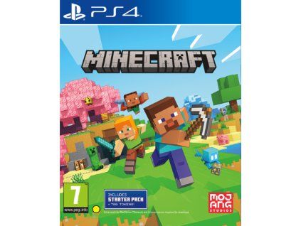 PS4 minecraft