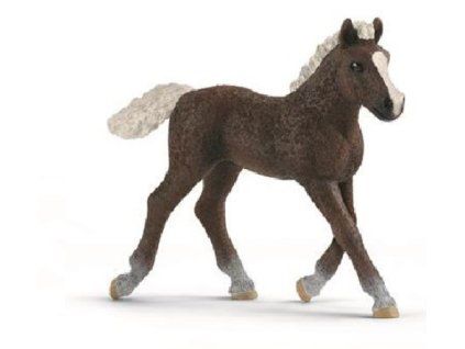 Schleich 17077 Schwarzwaldské hříbě