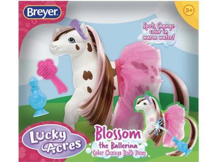 Koník Blossom Baletka