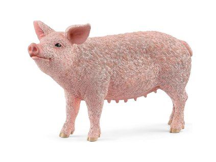 Schleich 13728 Farm World Prase