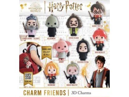 Překvapení Harry Potter 3D Charm Friends