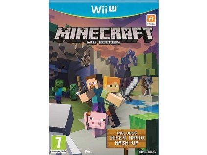 WiiU Minecraft