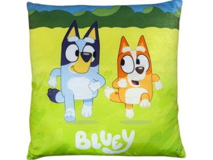 Polštář Bluey 38cm