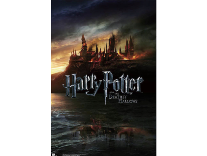 Plakát Harry Potter Bradavice v ohni