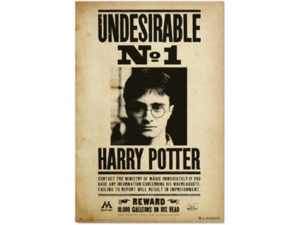 Plakát Harry Potter Undesirable