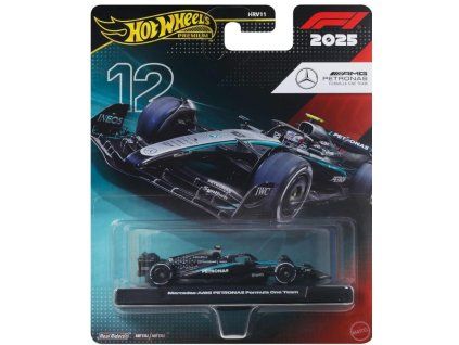 Hot Wheels Premium Team Mercedes Benz Driver 2