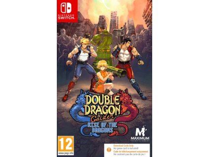 Switch Double Dragon Gaiden Rise of the Dragons