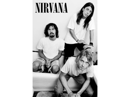 Plakát Nirvana Bathroom
