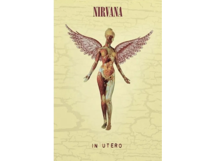 Plakát Nirvana in Utero
