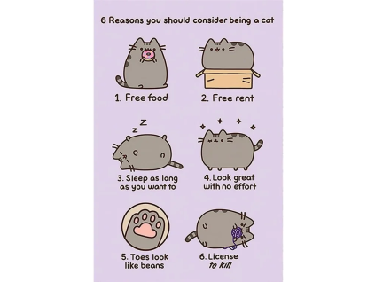 Plakát Pusheen 6 reasons to be a cat