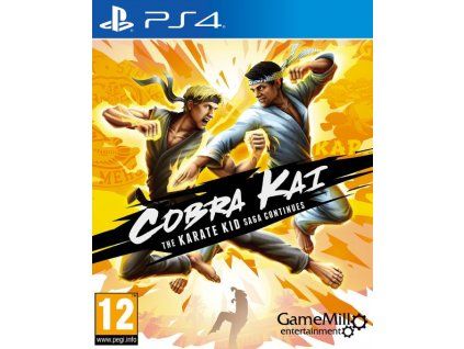 PS4 Cobra Kai The Karate Kid Saga Continues