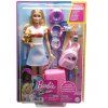 Barbie Travel Set With Puppy