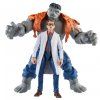 Figurky Marvel Legends Avengers Gray Hulk a Dr.Bruce Banner1