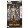 Figurka Marvel Legends Series Headpool Logan