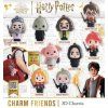 Překvapení Harry Potter 3D Charm Friends