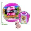 Překvapení Puppy Club The Best Gold Edition1