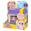 Zvířátko Little Live Pets Surprise mini králíček