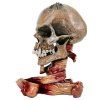 Dekorace Metallica Pushead Skull 23cm1