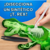 Laboratoř National Geographic TRex pitva1