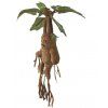 Toys Harry Potter Mandrake Electronic Interactive Plush 40cm1